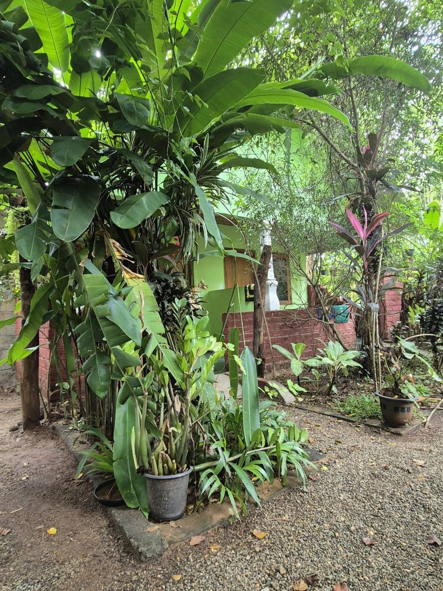 Forest Villa Nature Resort Anuradhapura Exterior photo